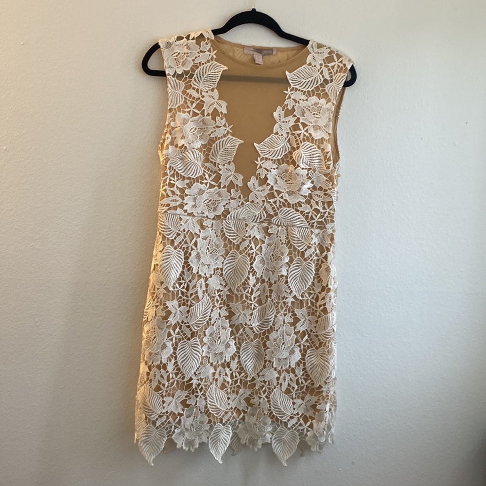 Forever 21 Sheer Lace Dress XL